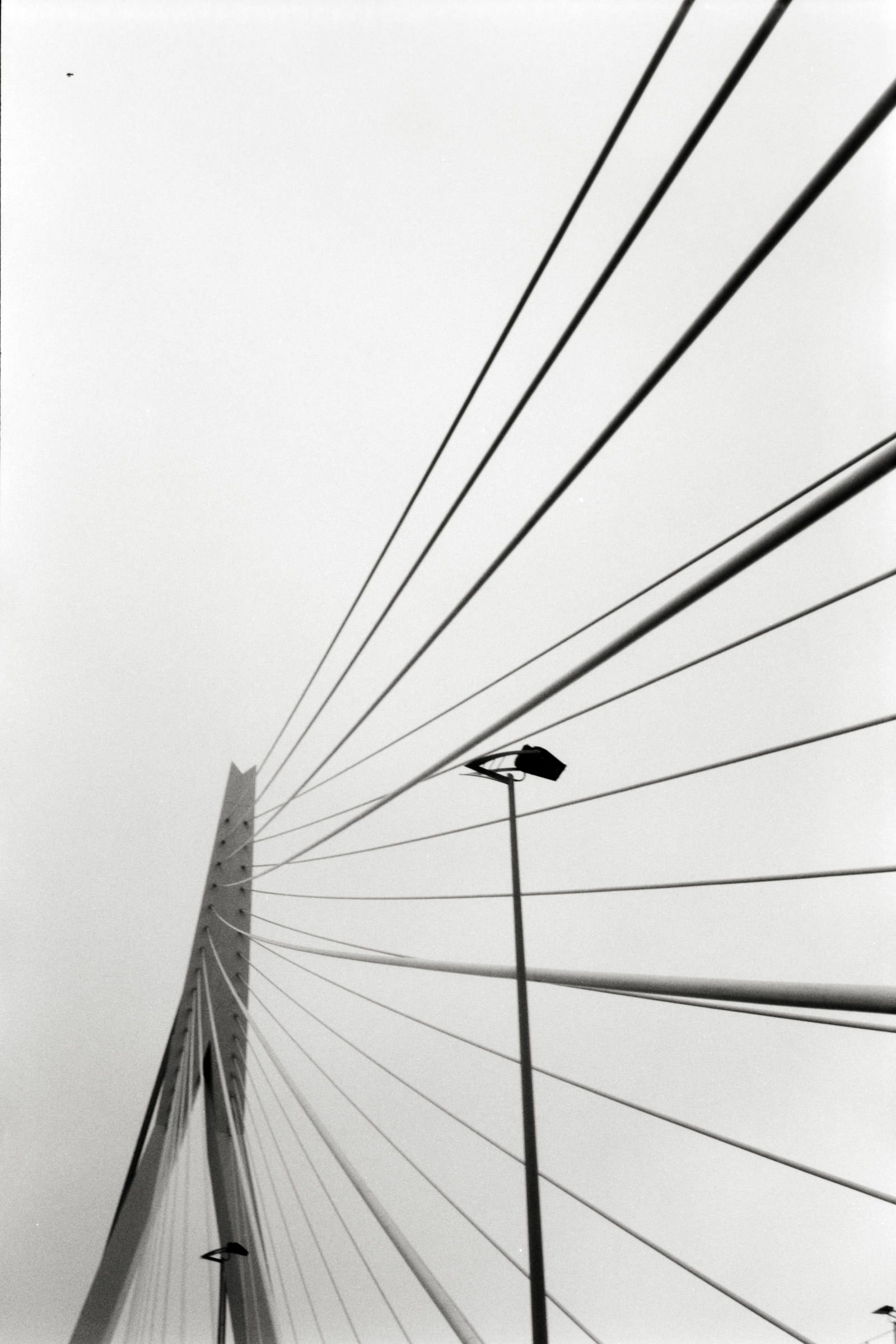 AHP F1998 05 001 sc240818 img26 NLP